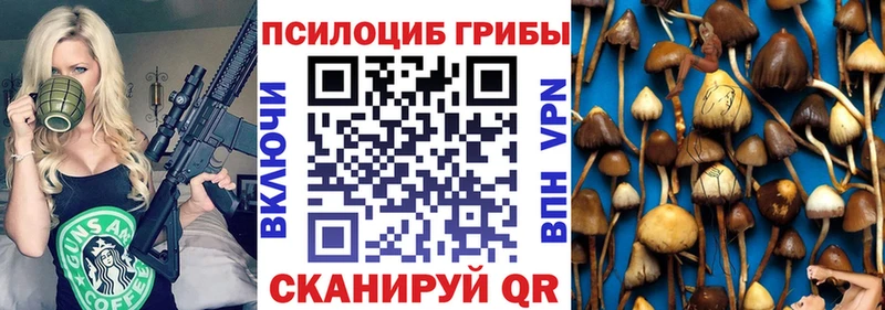 наркошоп  Выкса  Галлюциногенные грибы Cubensis 